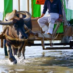 【練習動画あり】初心に帰って、安里屋ゆんた。