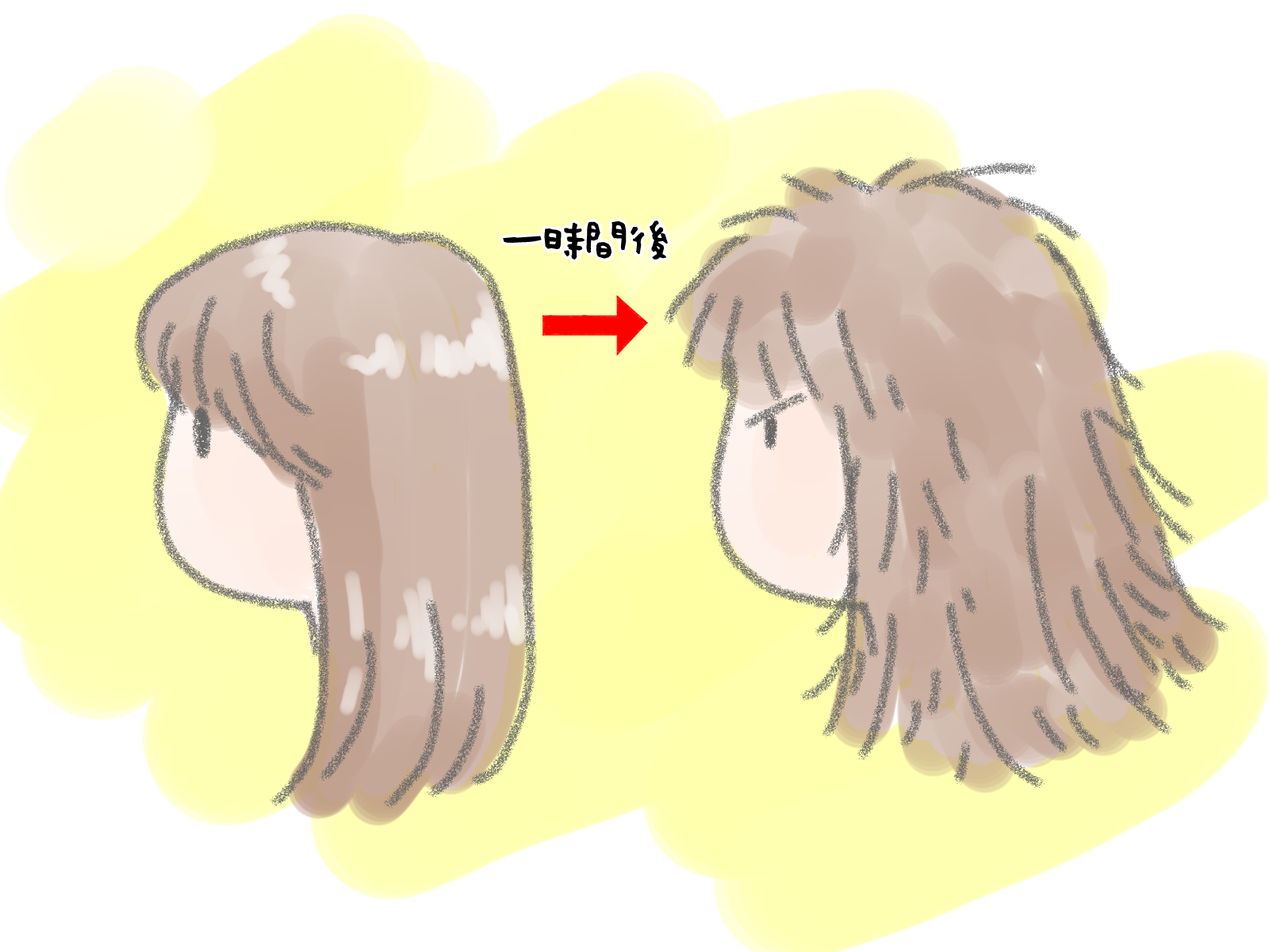 髪がすぐにバサバサになる図