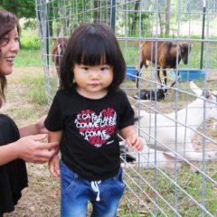 海外製人毛ウィッグは品質が悪い、という噂の検証：その１