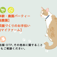 第二の人生、始まる。