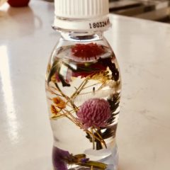 地域の子どもたち、大きく育て！のびのび育児の会出演